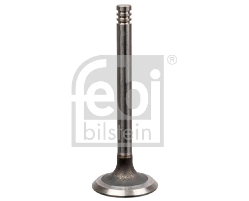 Intake Valve